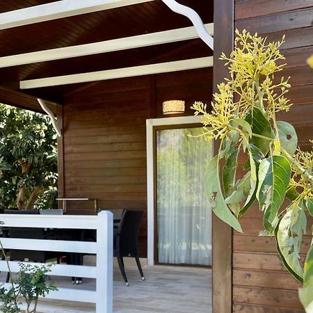 Aida Hotel Çıralı Luaran gambar