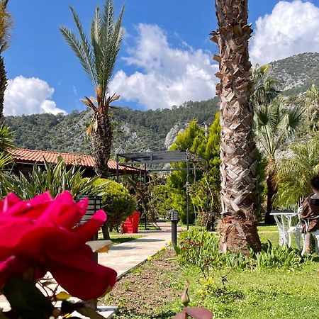 Aida Hotel Çıralı Luaran gambar
