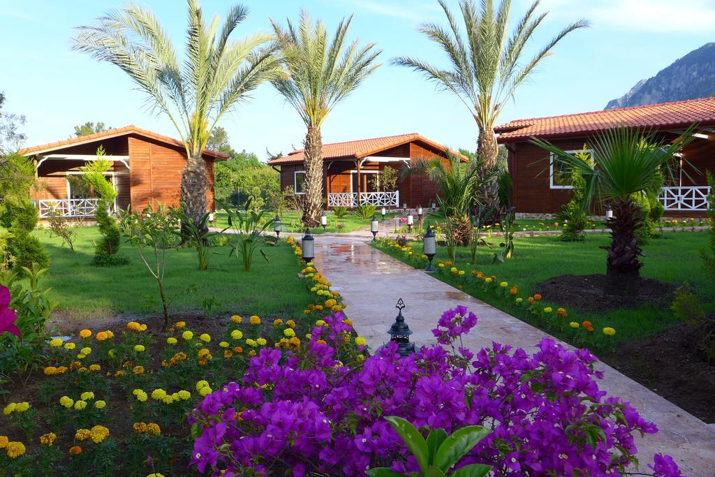 Aida Hotel Çıralı Bilik gambar