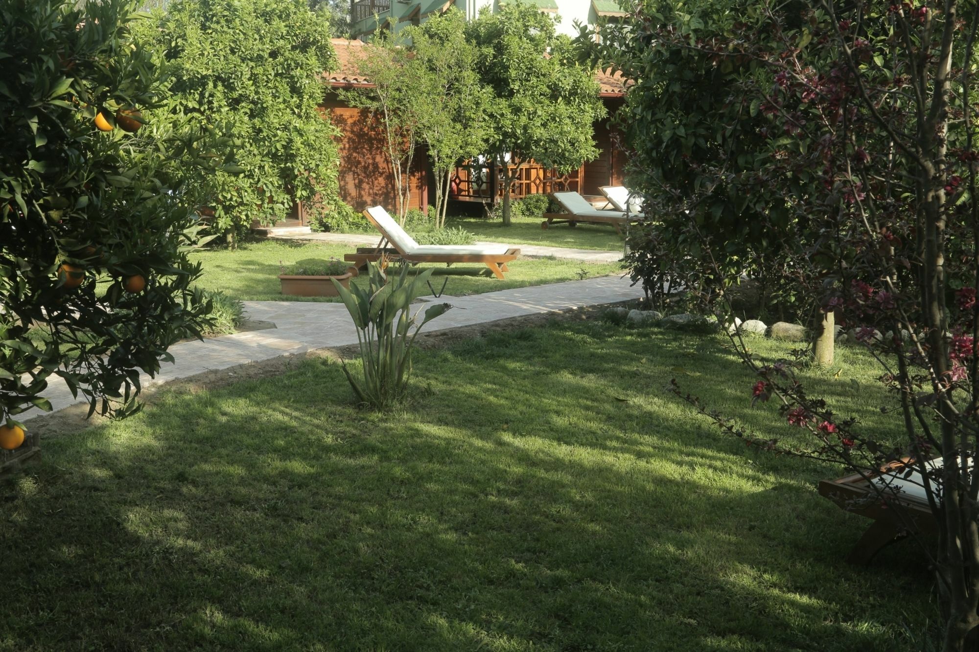 Aida Hotel Çıralı Luaran gambar